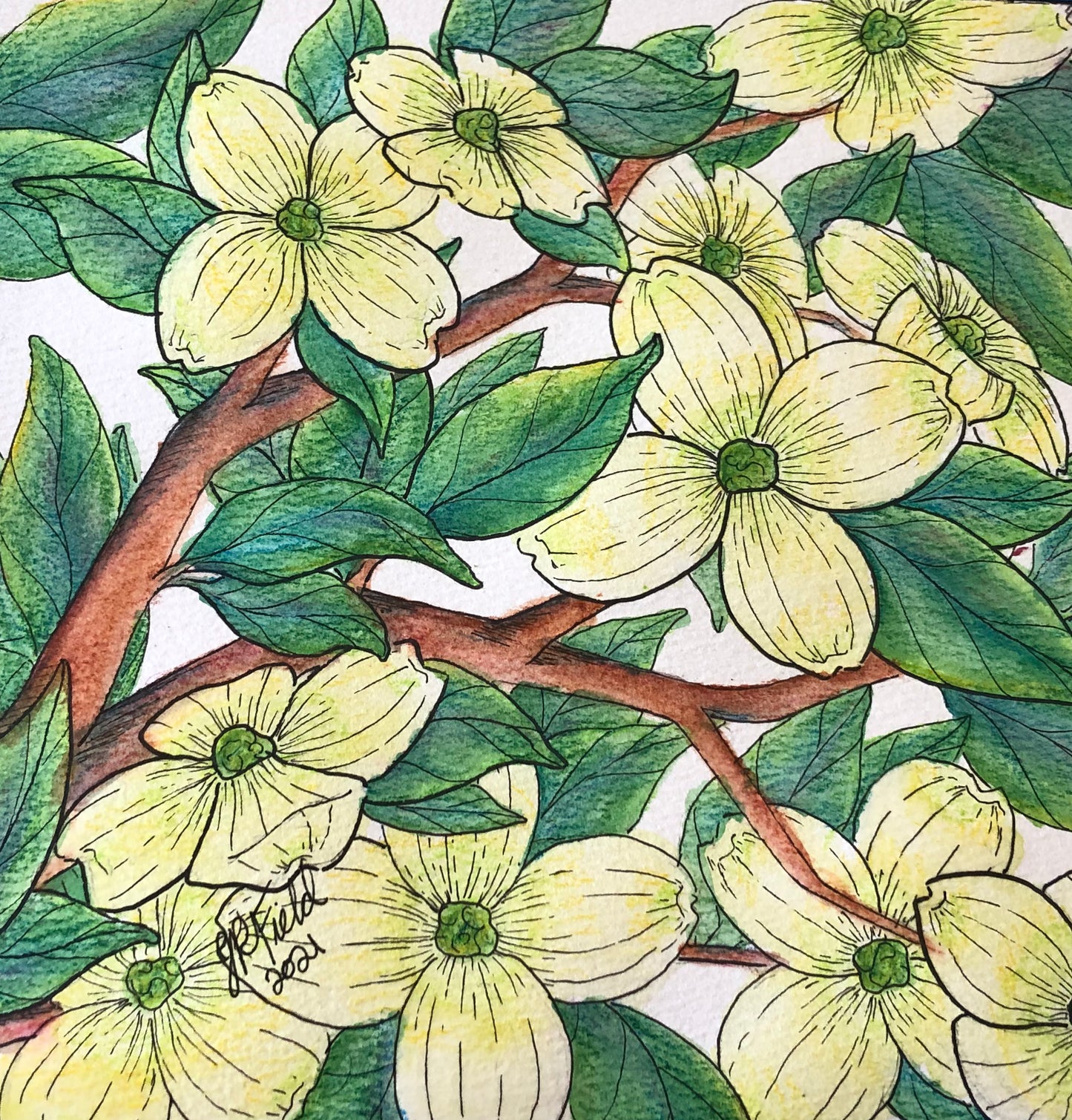 Dogwood from Blossoms & Blooms Vol 1