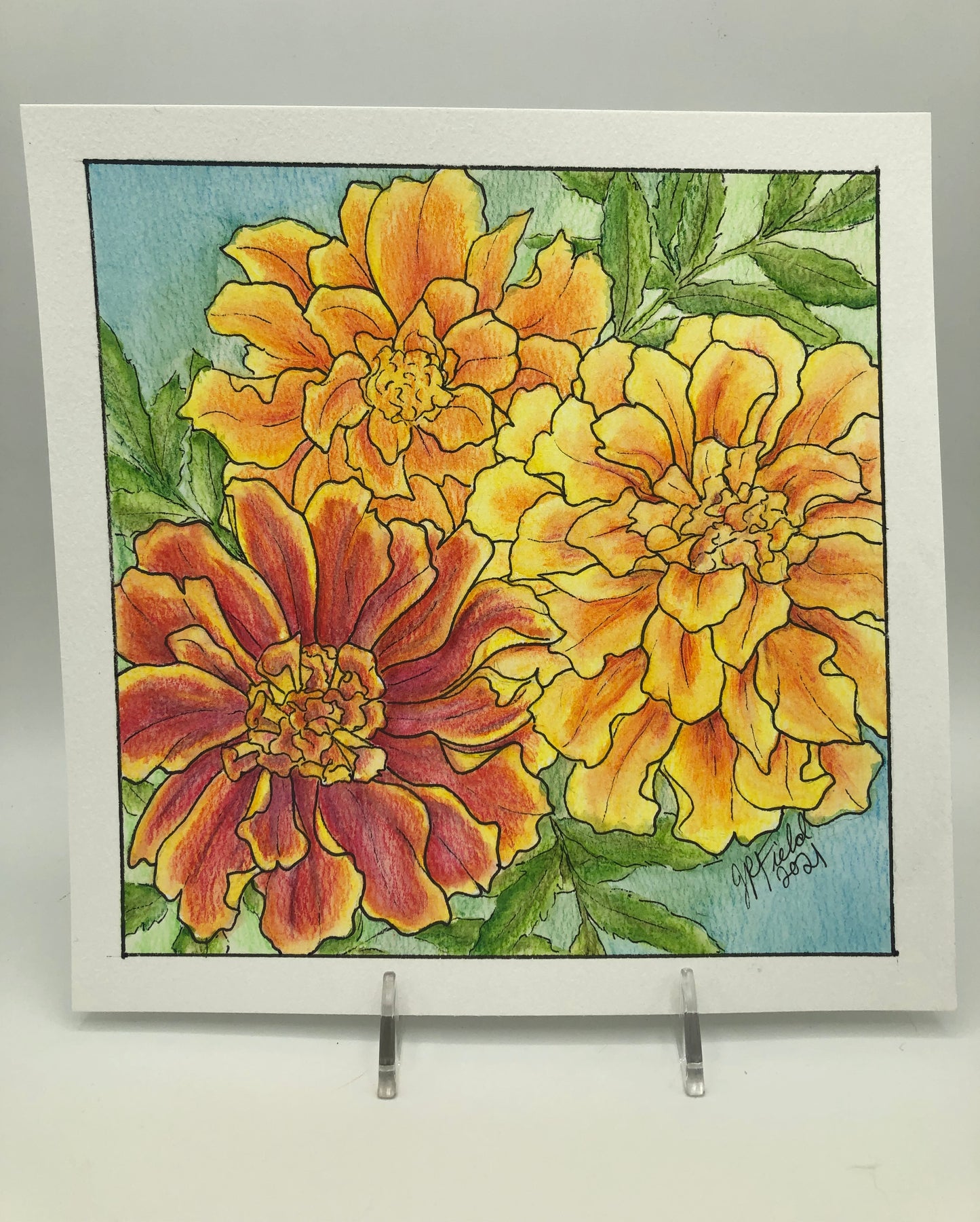 Marigolds from Blossoms & Blooms Vol 1