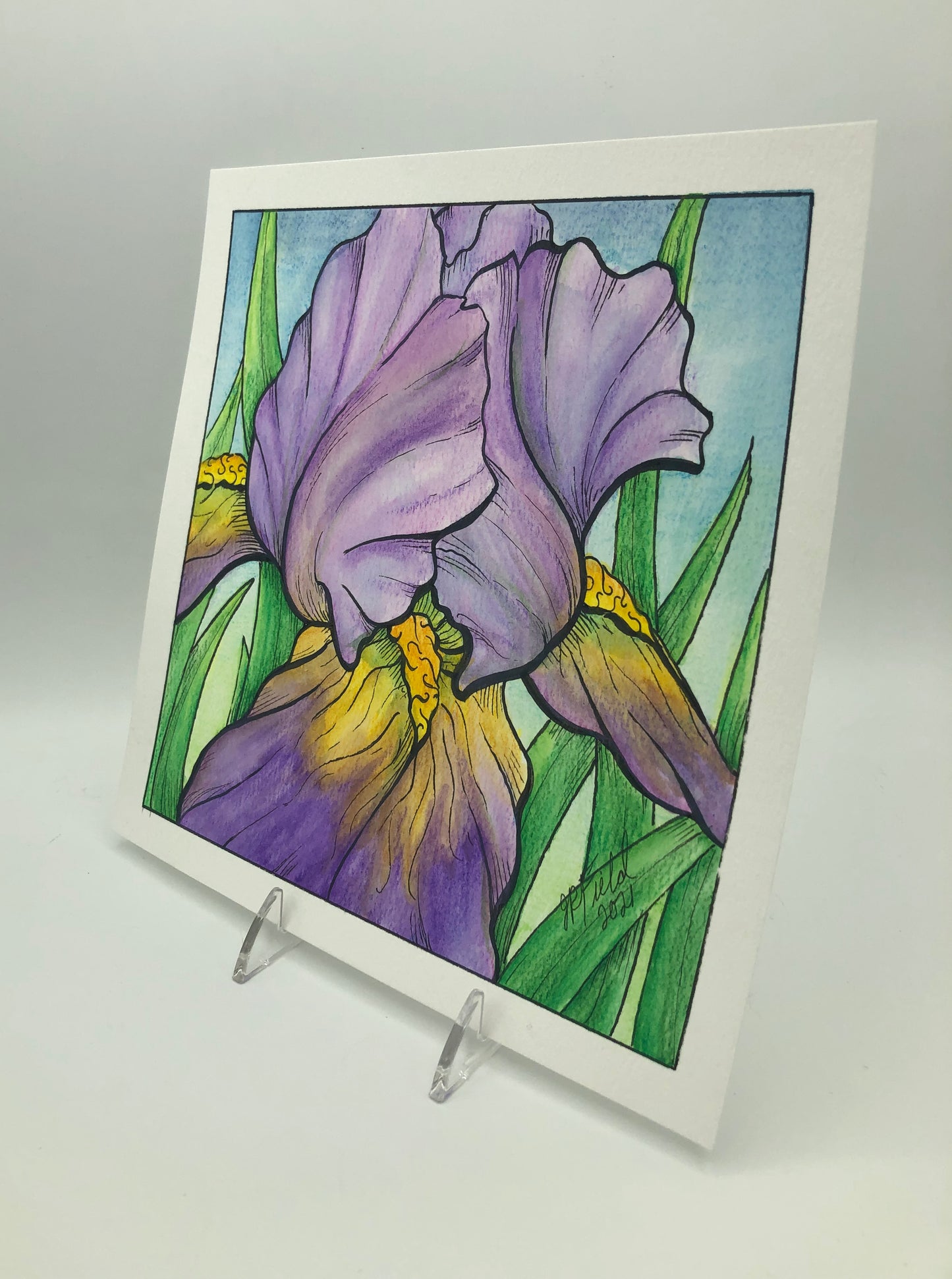Bearded Iris from Blossoms & Blooms Vol 1