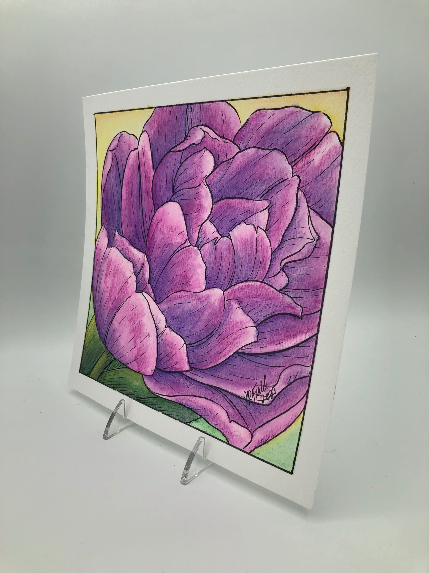 Purple Double Tulip from Blossoms & Blooms Vol 1