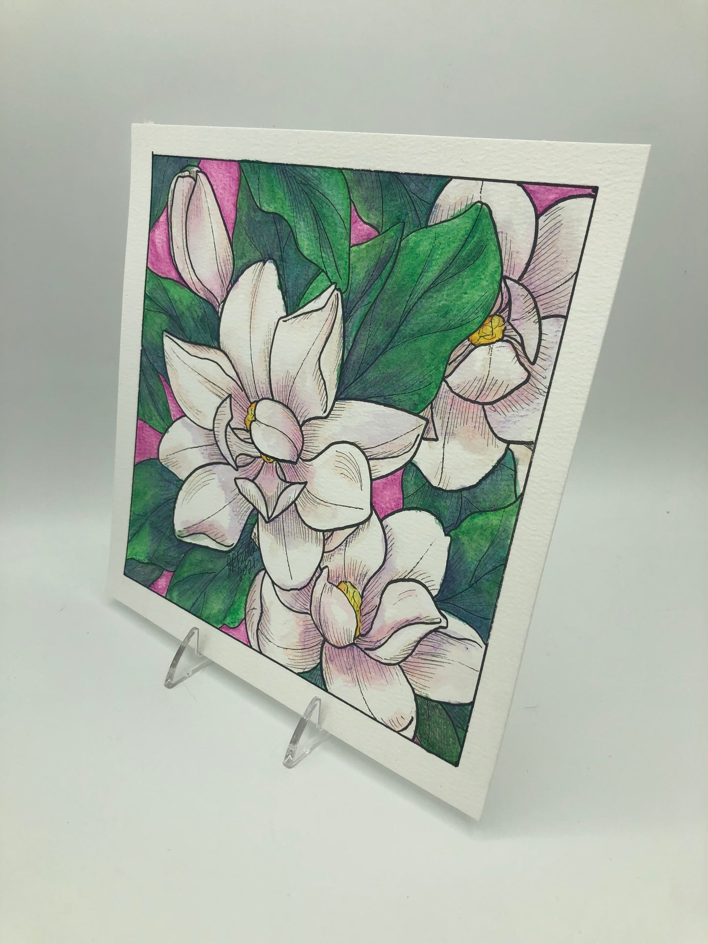 Magnolias from Blossoms & Blooms Vol 1