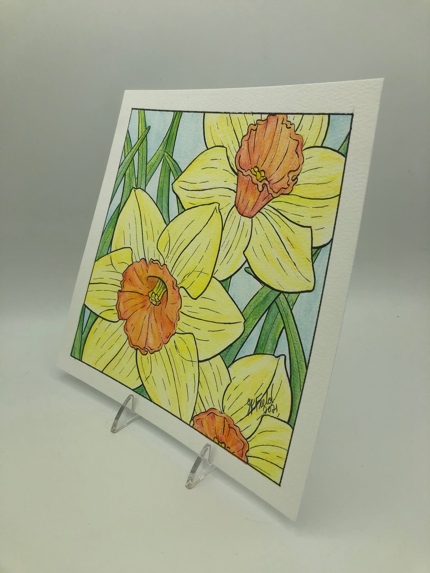 Daffodils from Blossoms & Blooms Vol 1