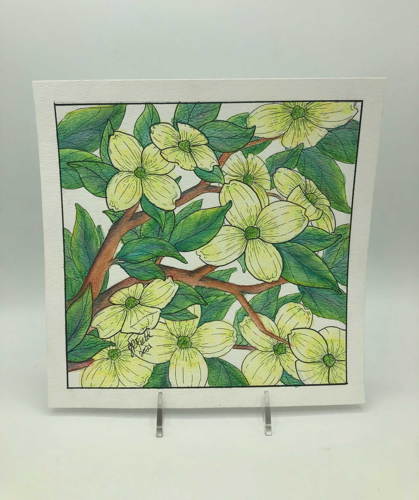 Dogwood from Blossoms & Blooms Vol 1