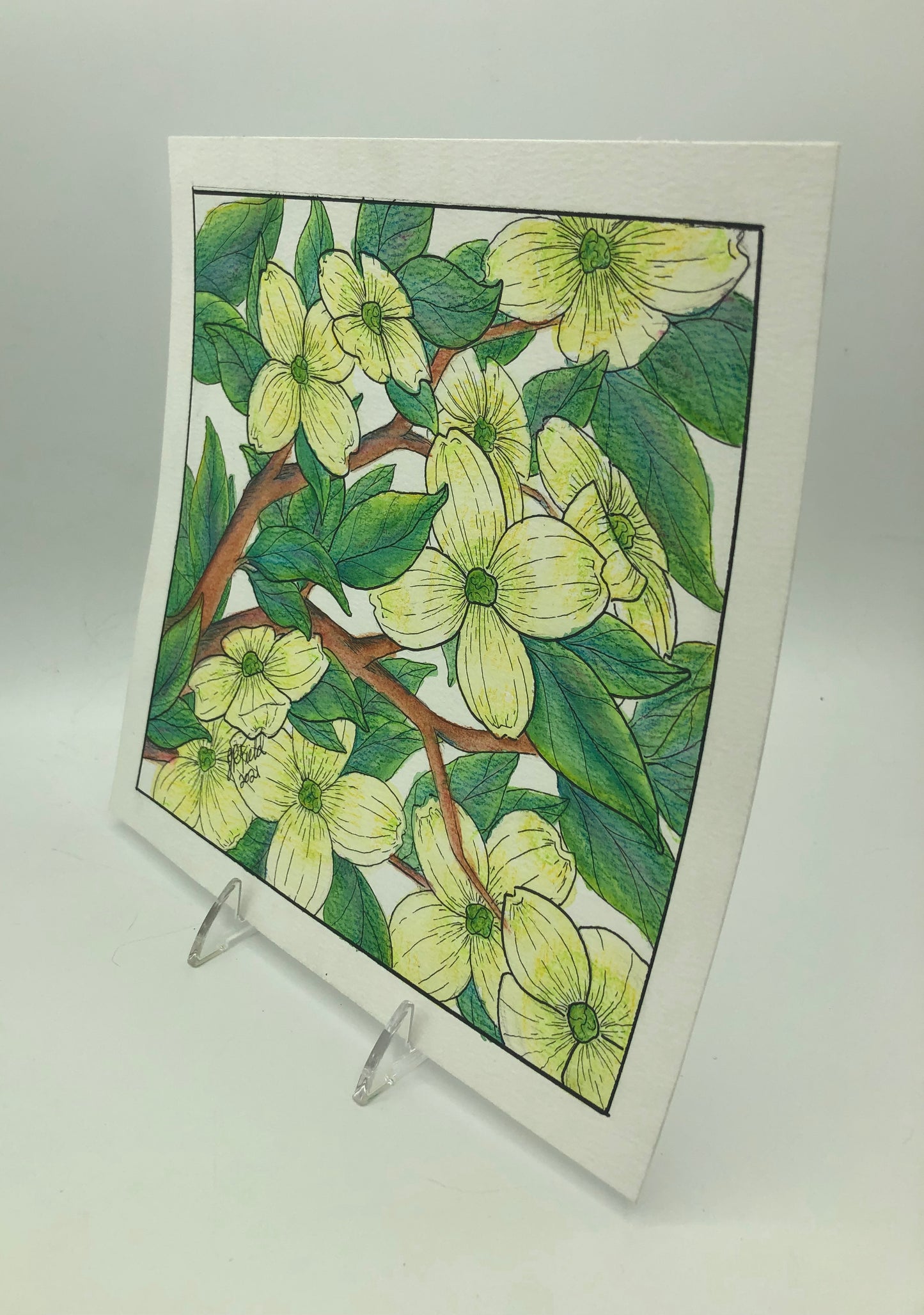 Dogwood from Blossoms & Blooms Vol 1