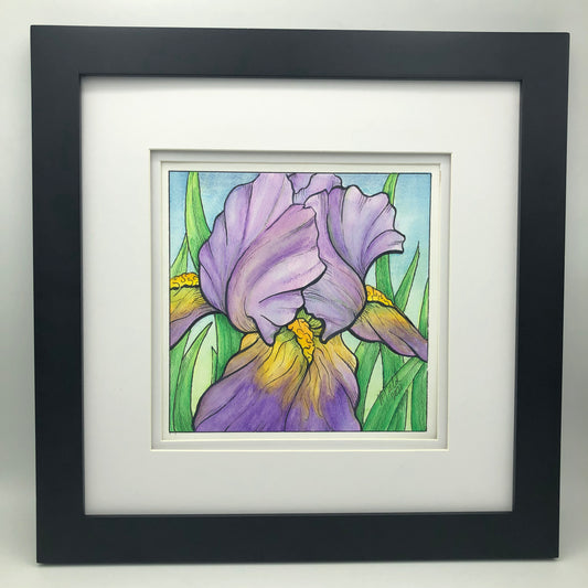 Bearded Iris from Blossoms & Blooms Vol 1