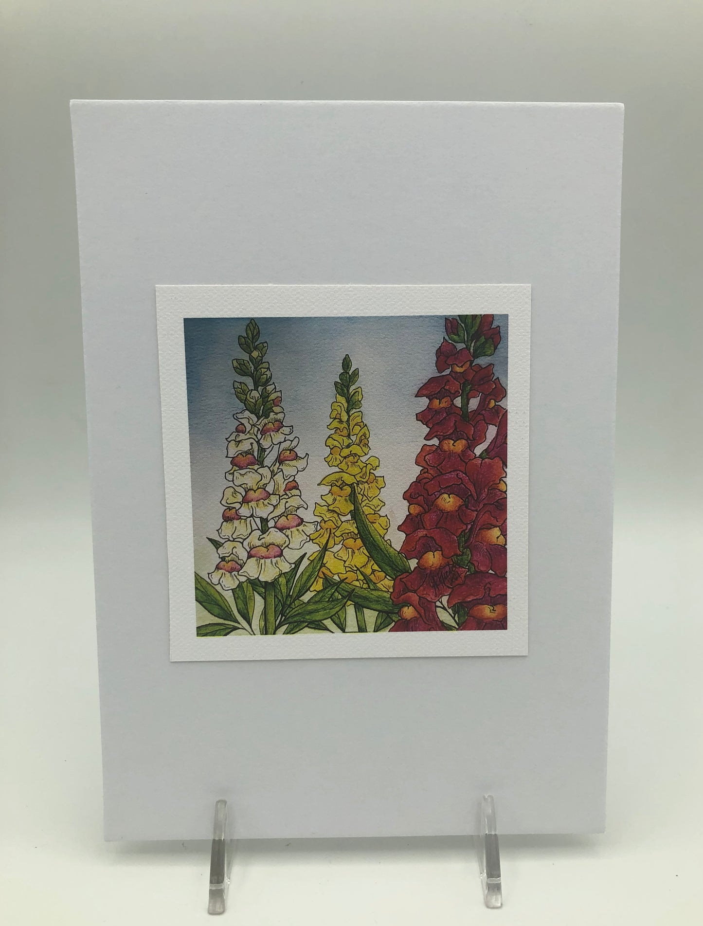 Snapdragons from Blossoms & Blooms Vol 1