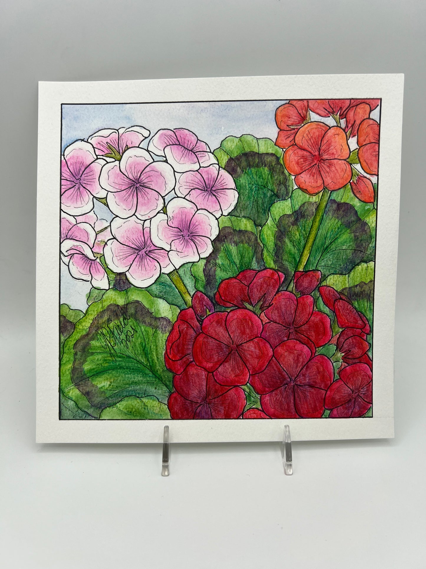 Geraniums from Blossoms & Blooms Vol 1