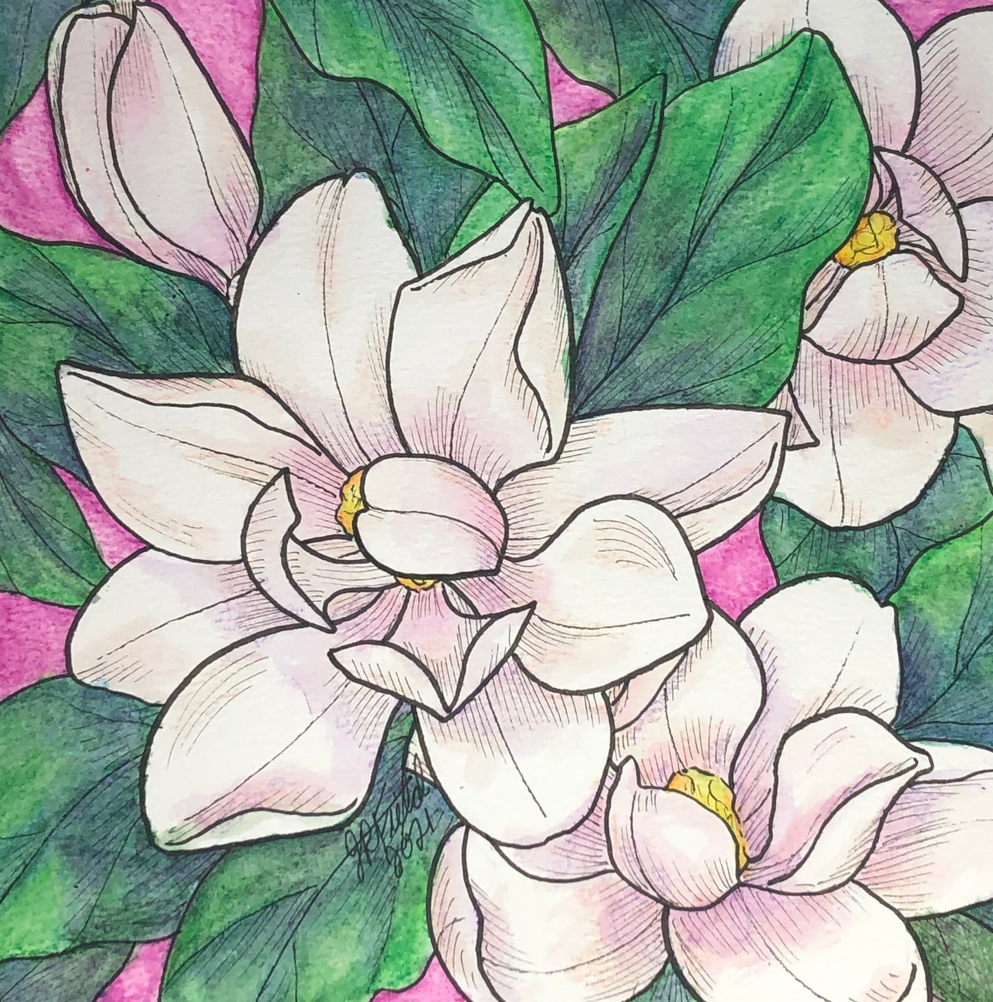 Magnolias from Blossoms & Blooms Vol 1