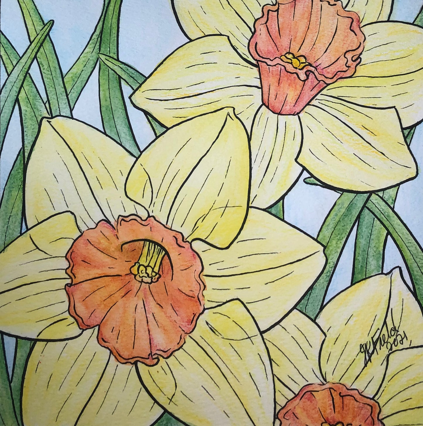 Daffodils from Blossoms & Blooms Vol 1